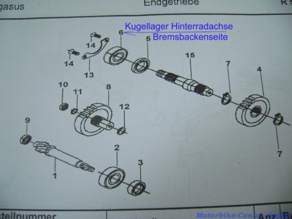 Getriebe-Kugellager Getriebe-Hinterradachse PEGASUS SKY CORONA R